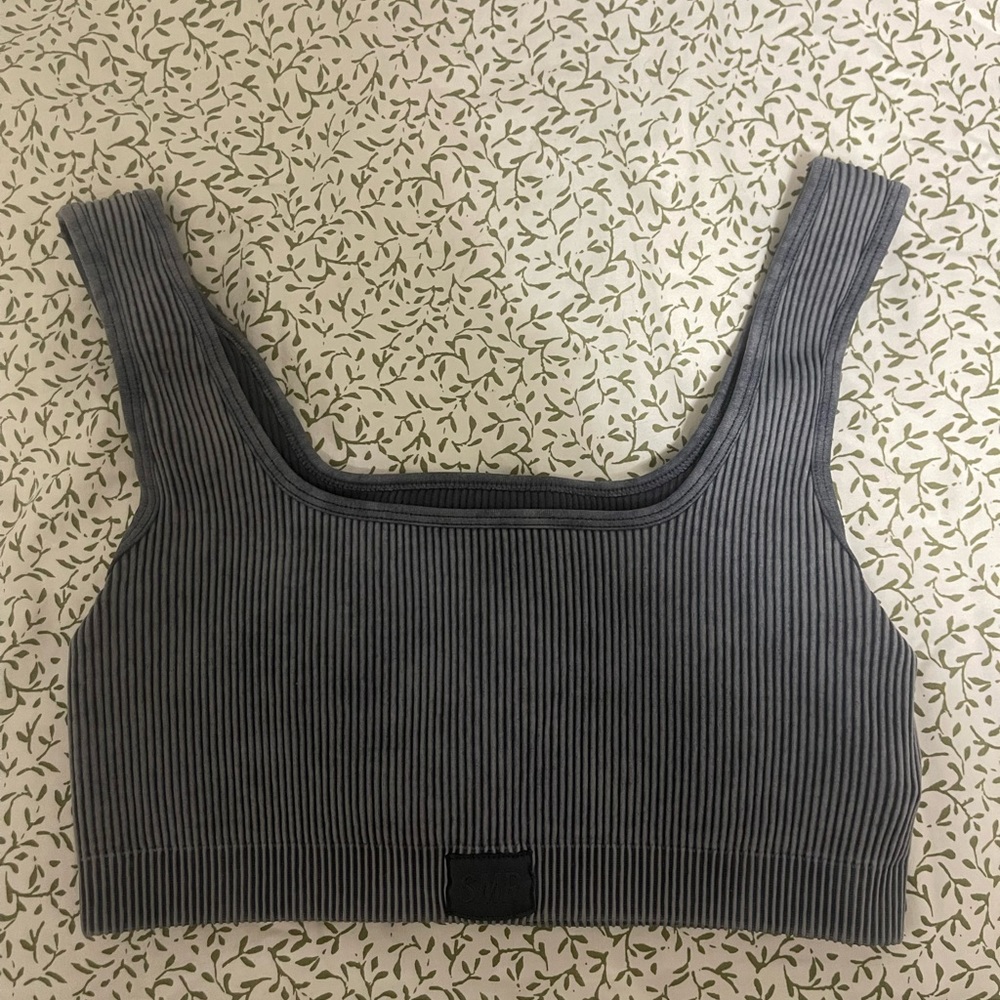 Sommer Ray sports bra